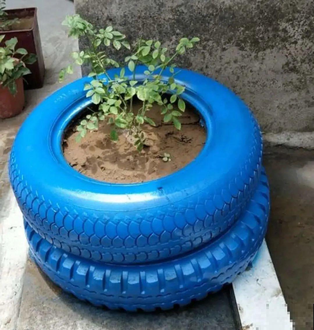 旧筷子、老干妈瓶别扔，拿来养花效果好，省下一笔养花钱