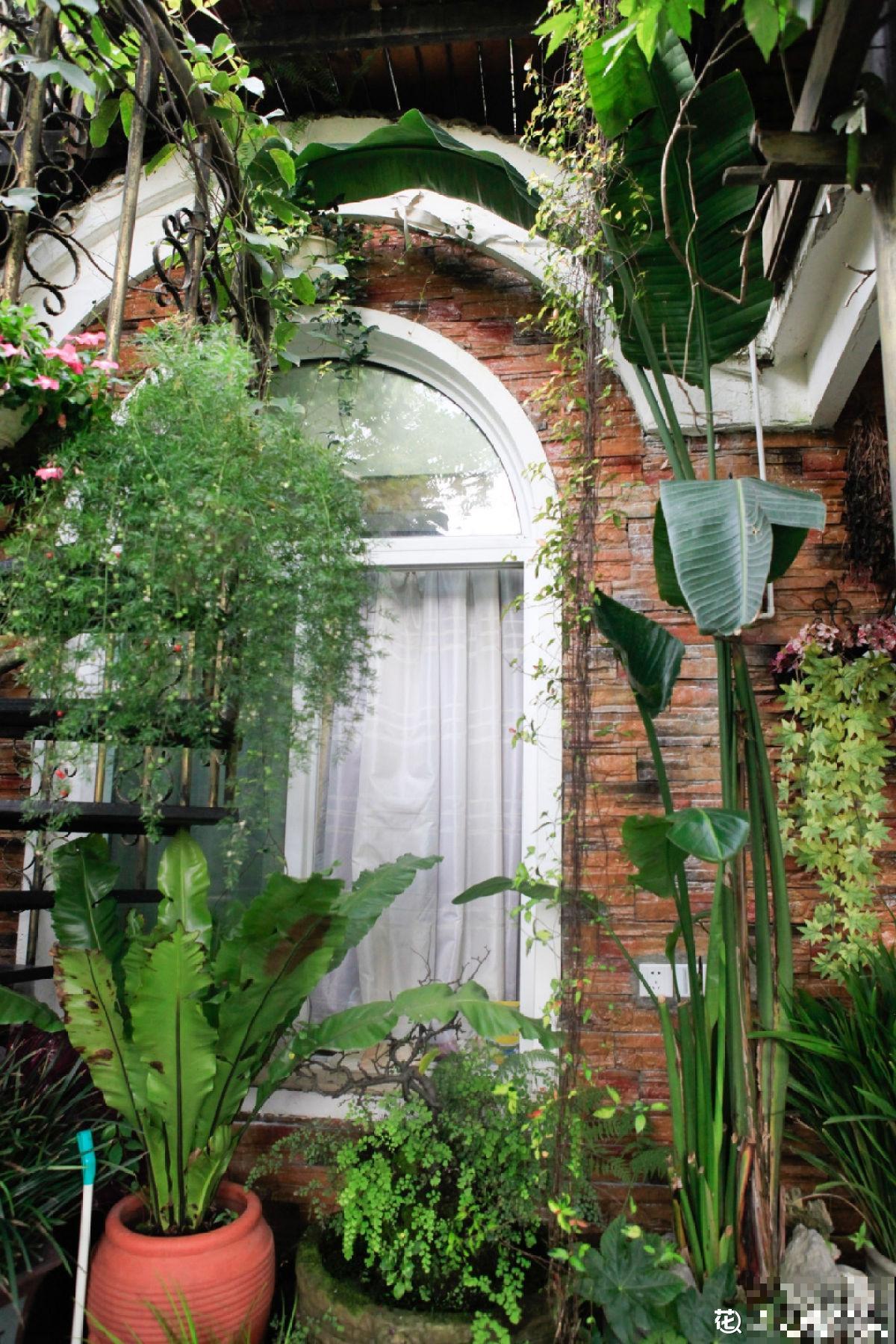 都说有院子好,真正打理起来,才知道有多烦 都说有院子好,真正打理起来,才知道有多烦