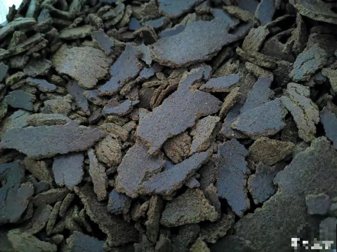 7种有机肥， 给花吃一点，花长得特旺