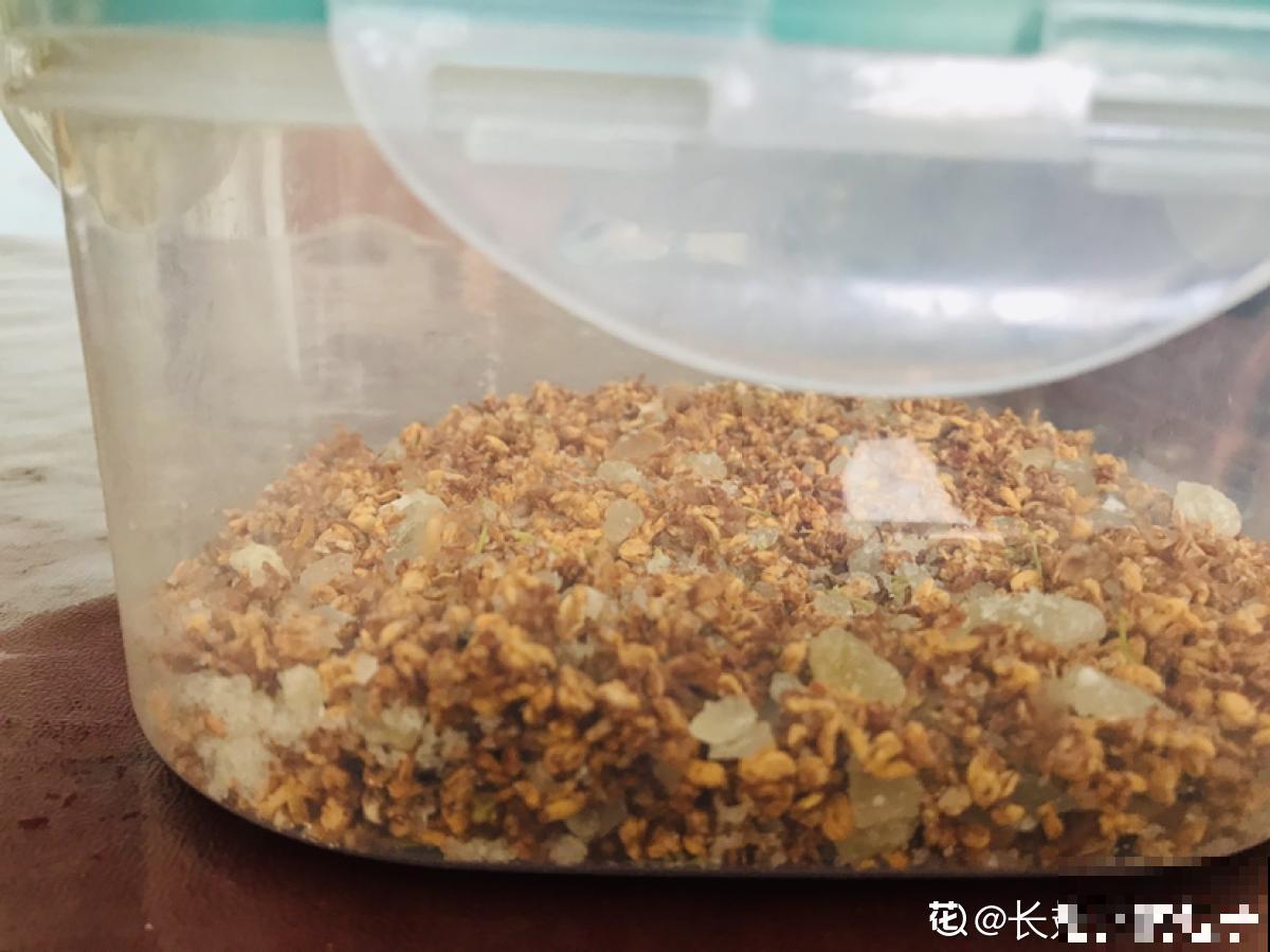 秋天院子里种棵桂花，“香飘十里”不为过，还能做成美味
