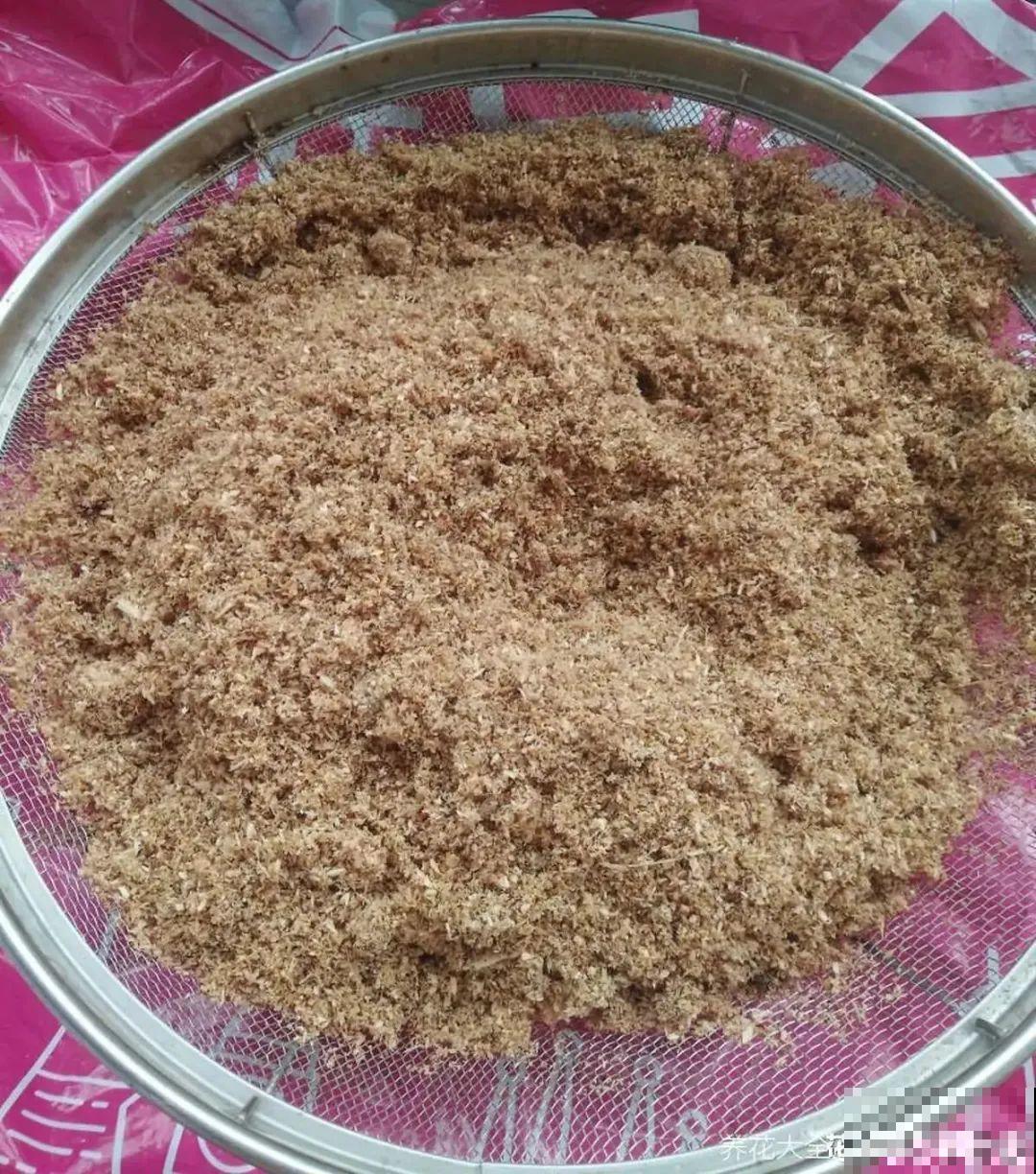 8种花，越热越扦插，大白根呼呼冒