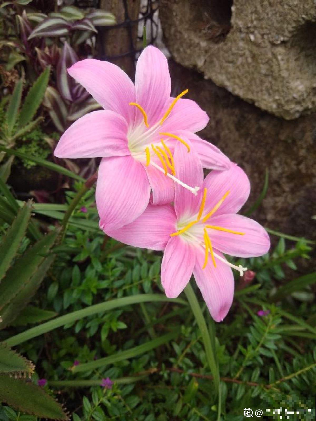 10个人生道理，年过半百的人更能理解，你赞同吗