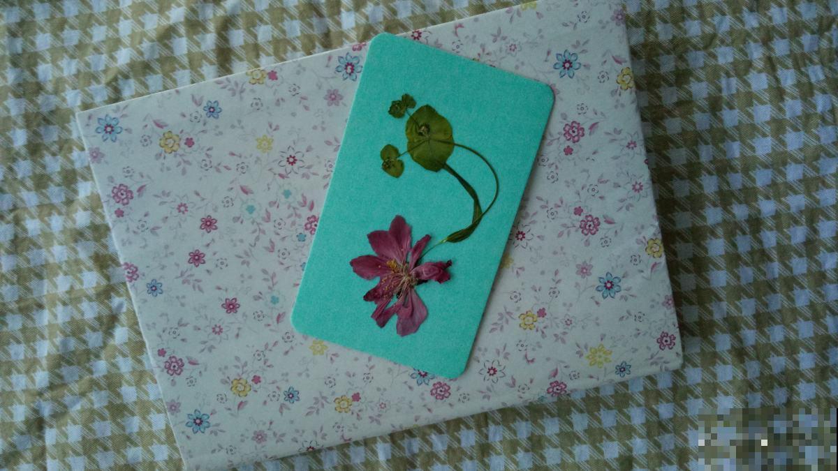 别只会风干,还有3种方法,干花一做一个成 别只会风干,还有3种方法,干花一做一个成