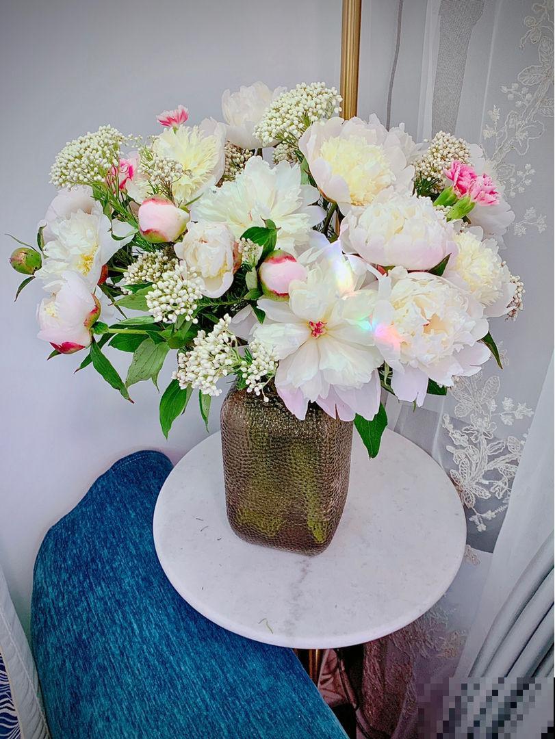 5月在家养株“花神”，开花比牡丹还美，插水里就能活