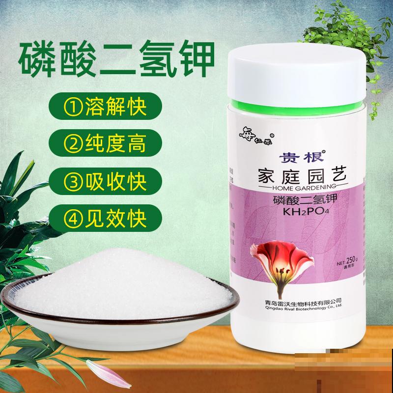 植物花色千篇一律，因为你没种过牵牛花，花色奇特惊喜不断