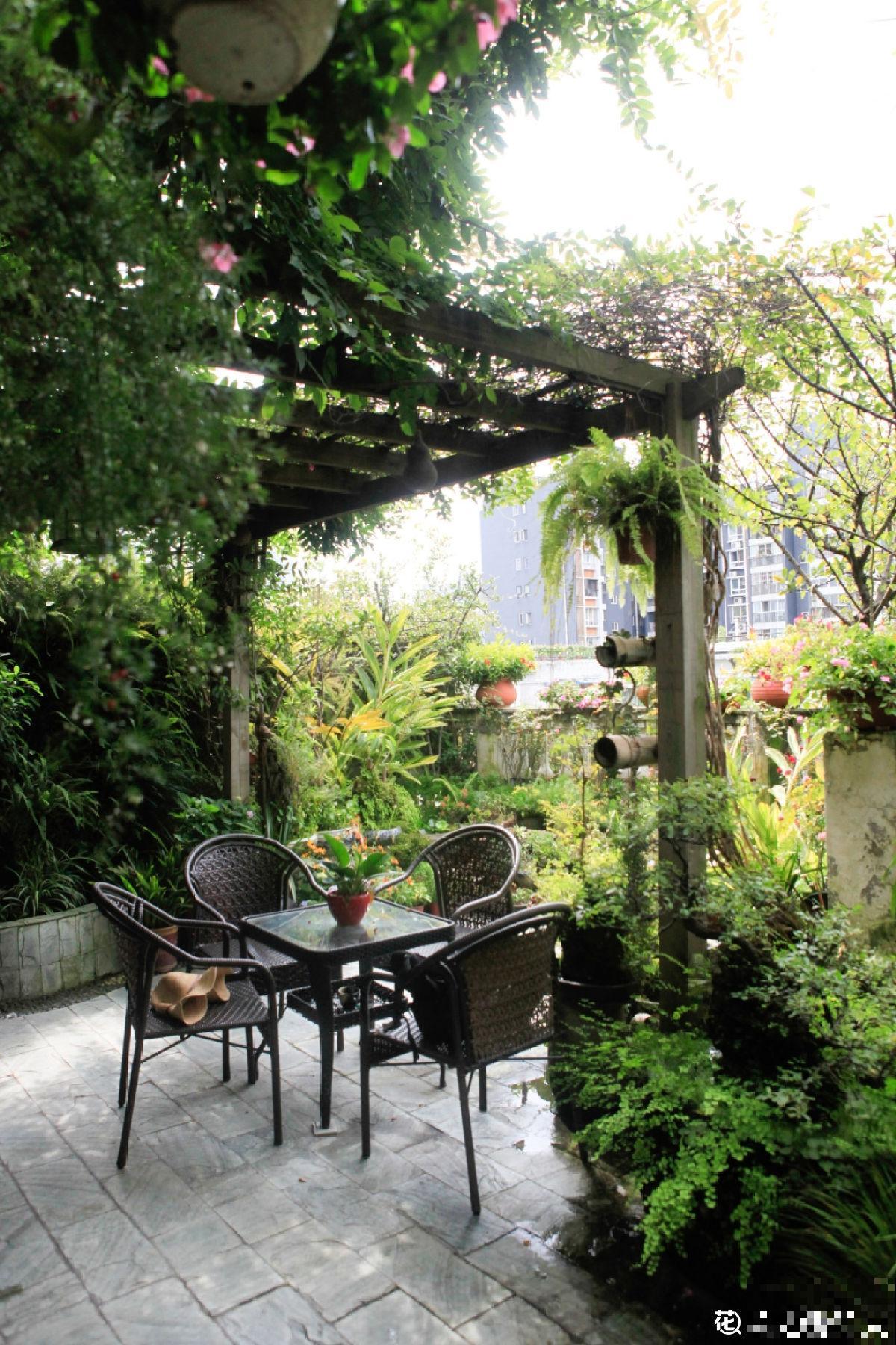 都说有院子好,真正打理起来,才知道有多烦 都说有院子好,真正打理起来,才知道有多烦