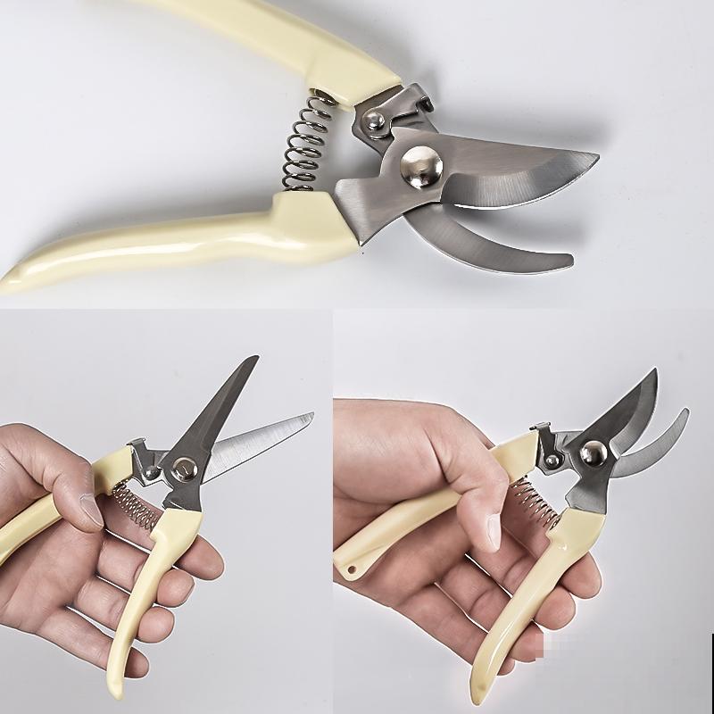 下周入伏,花卉进入渡劫期,这5条养护技巧需掌握 下周入伏,花卉进入渡劫期,这5条养护技巧需掌握