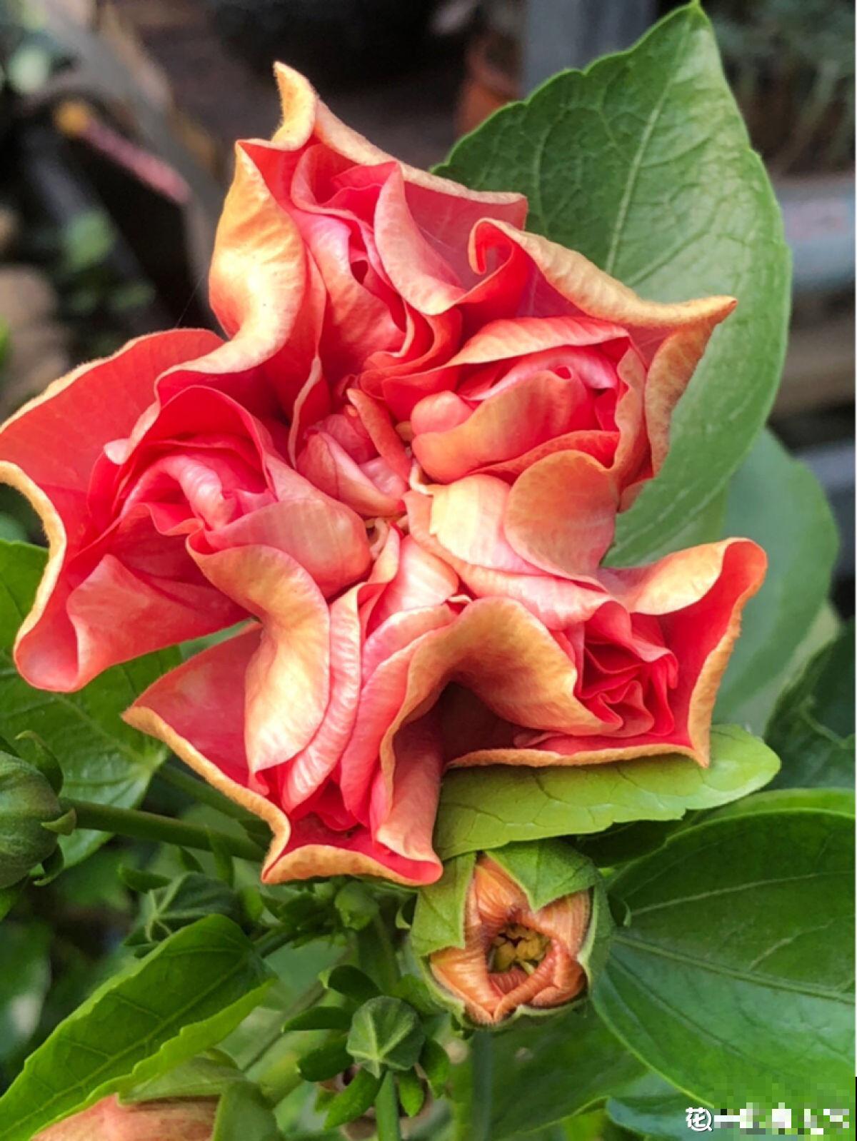 人的年纪越大，4件事情更要想开，生活才会更加如意