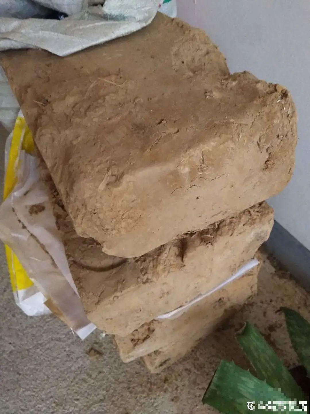 天台花园VS低层庭院,哪里养花更方便? 天台花园VS低层庭院,哪里养花更方便?