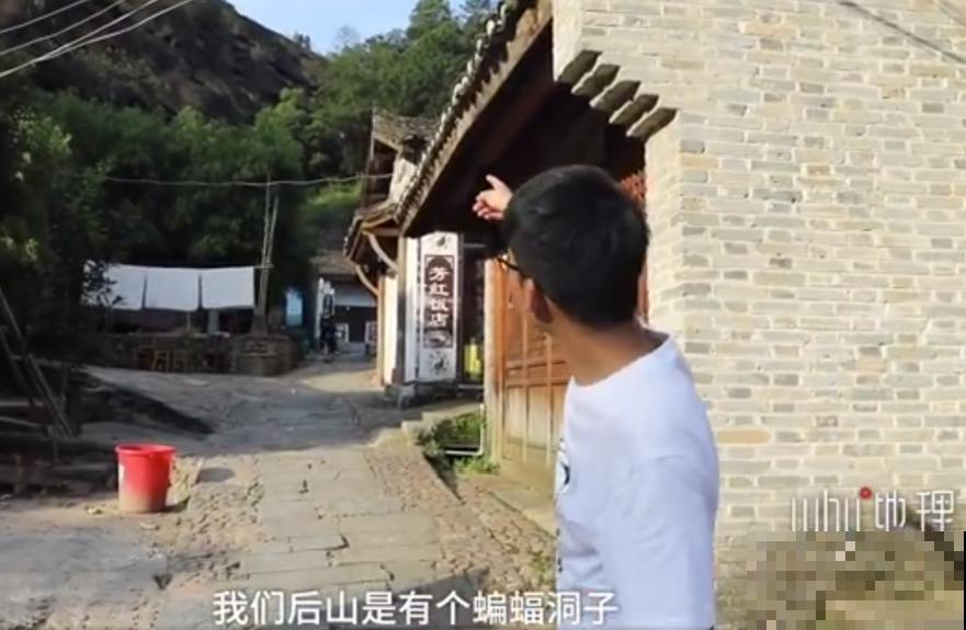 江西无蚊村,种满“驱蚊树”,一年四季没蚊子 江西无蚊村,种满“驱蚊树”,一年四季没蚊子