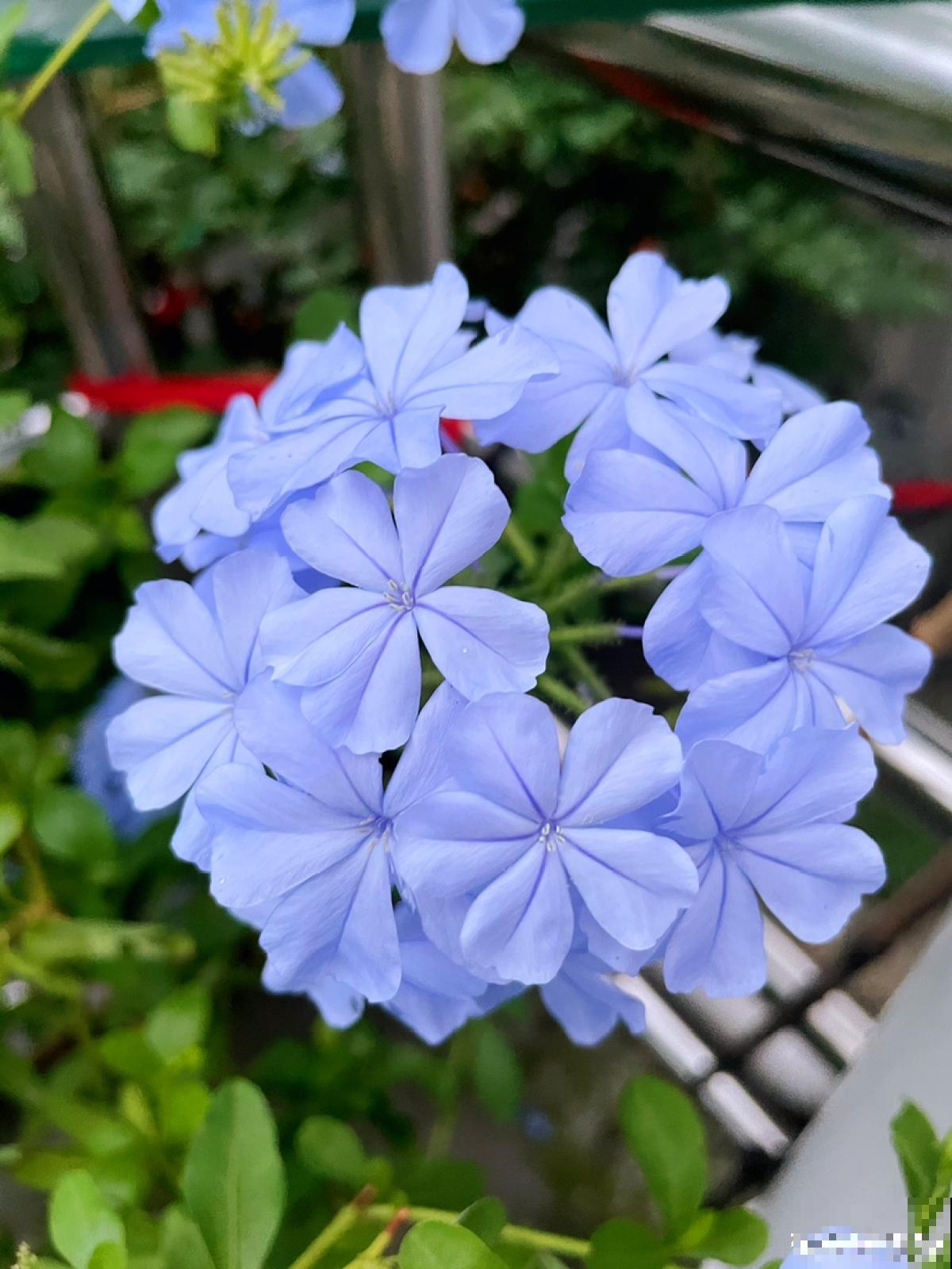 10个人生道理，年过半百的人更能理解，你赞同吗