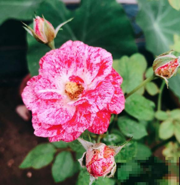 人的年纪越大，4件事情更要想开，生活才会更加如意