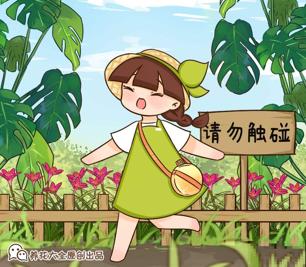 养花和性格息息相关,什么性格喜欢什么花,你同意吗 养花和性格息息相关,什么性格喜欢什么花,你同意吗