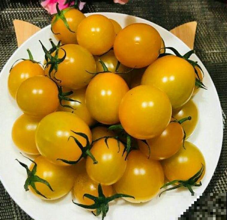 常见水果上市的季节,多吃应季蔬果,对身体有好处 常见水果上市的季节,多吃应季蔬果,对身体有好处