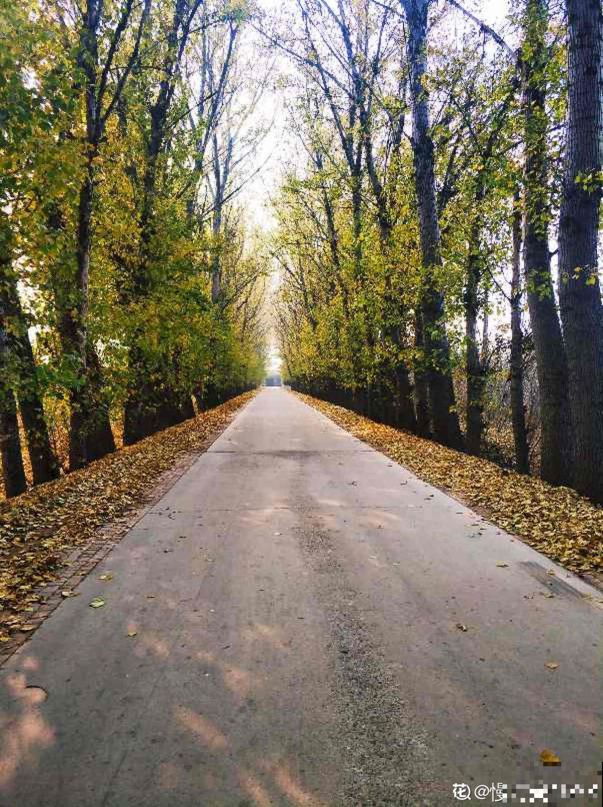 秋天又乏又燥,做好5件事,有效缓解乏和燥 秋天又乏又燥,做好5件事,有效缓解乏和燥