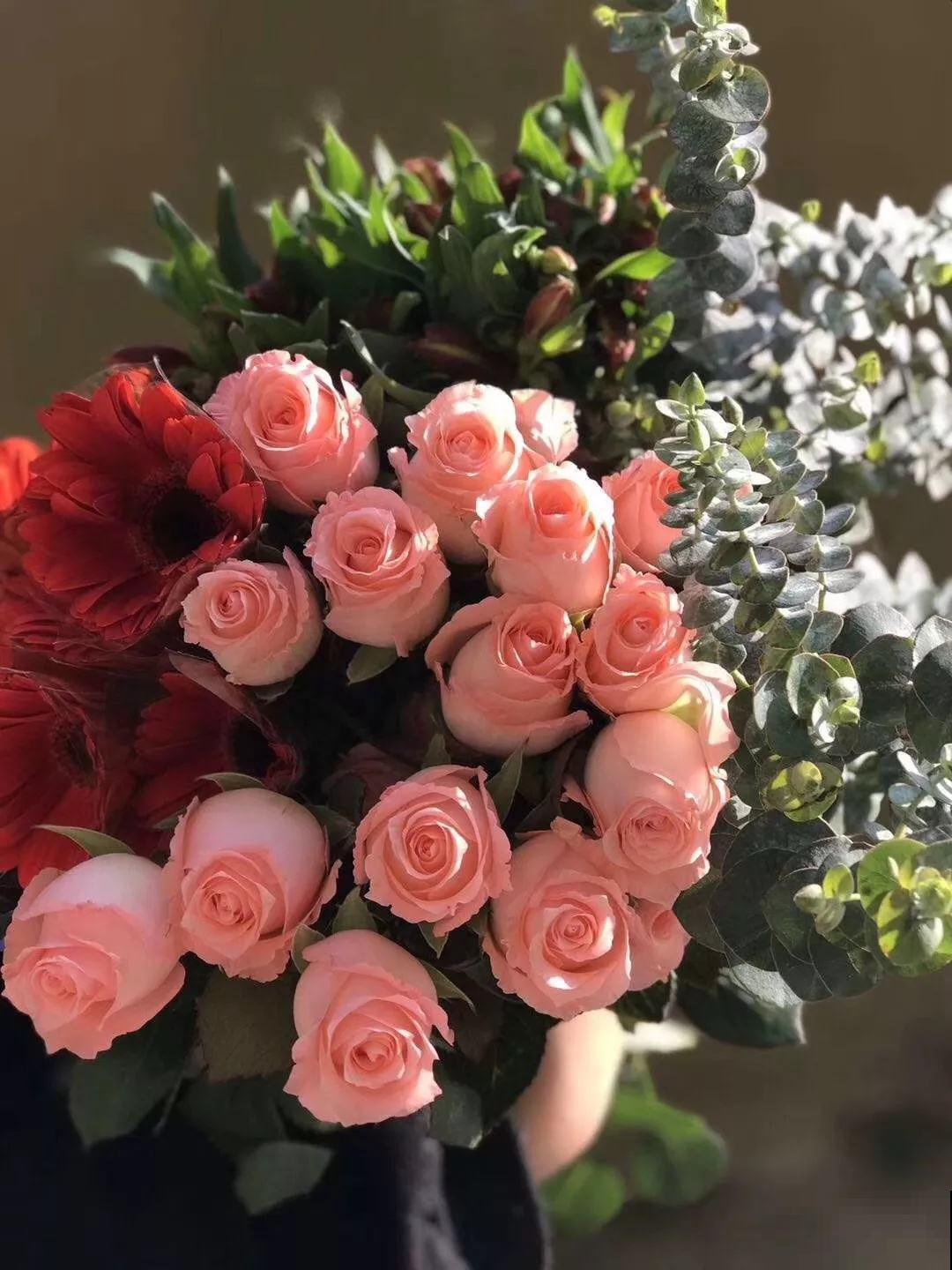 养花4个基础要点，弄明白了，植物才能长得壮