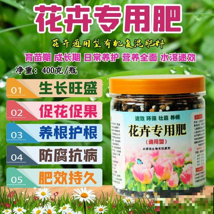 夏日太热，怕植物旱死？记住这4个妙招