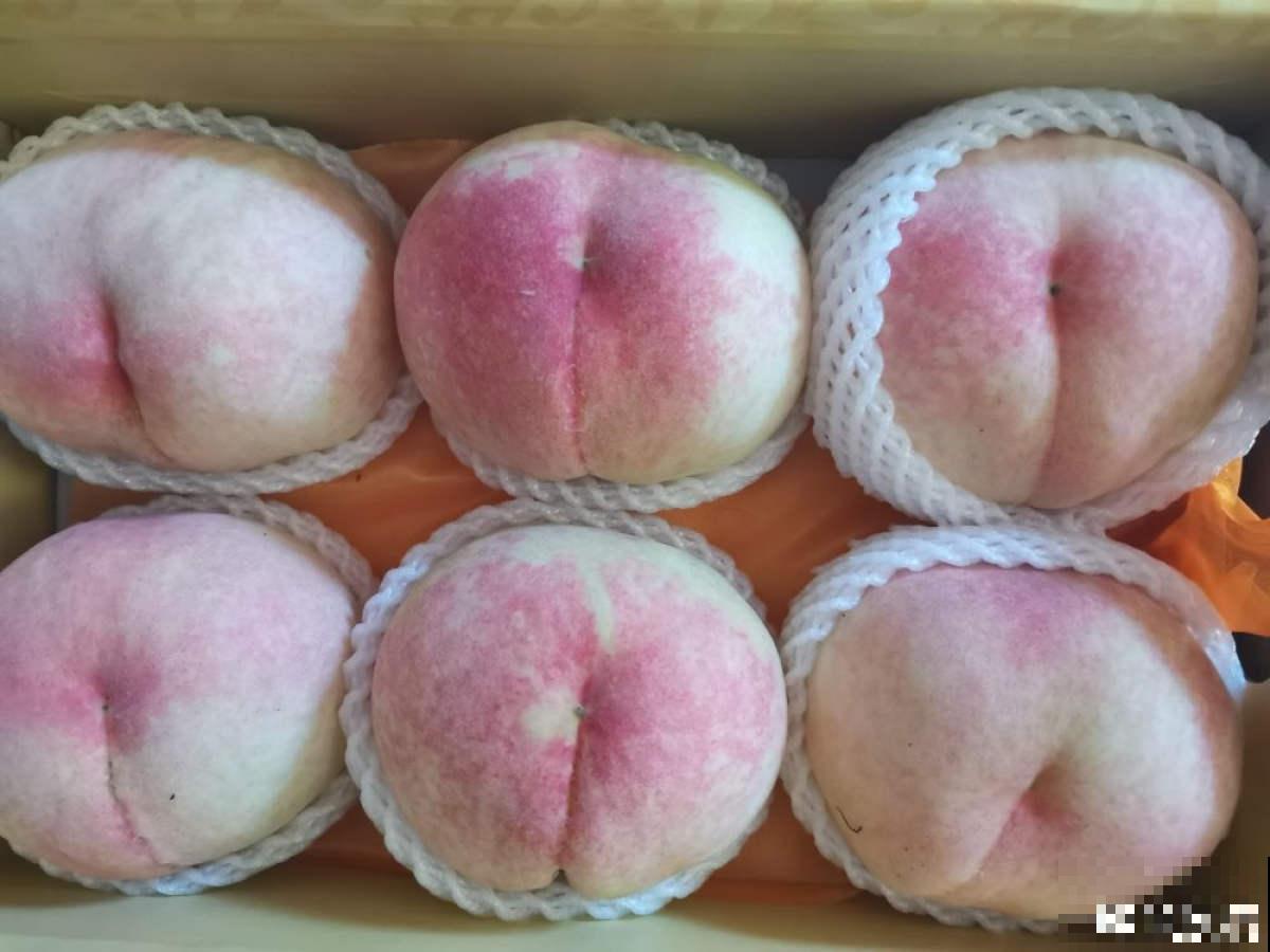 各个省份的代表水果，你家乡的特色水果是什么？