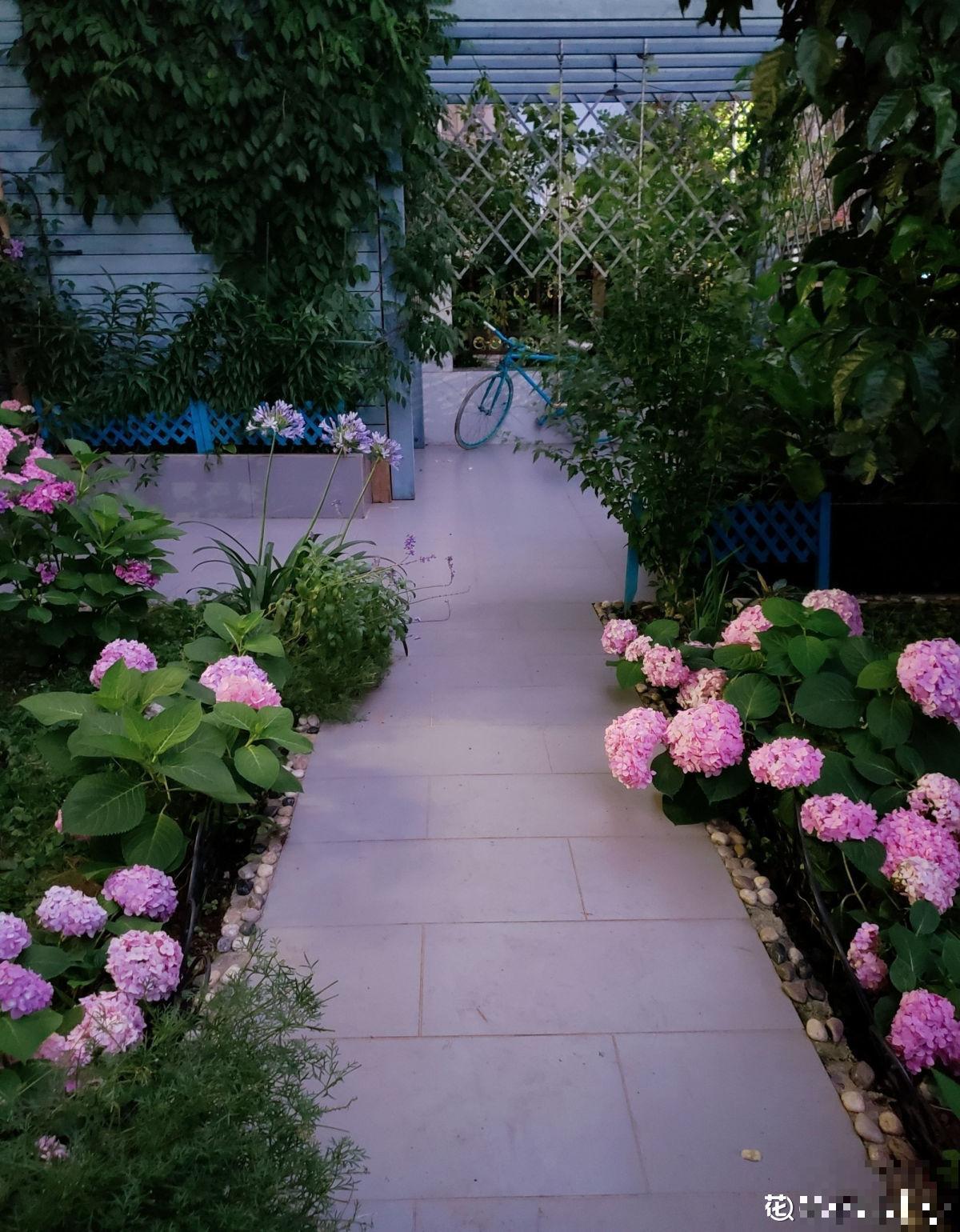 怀孕辣妈超爱养花，亲力亲为建花园，现在人人都羡慕