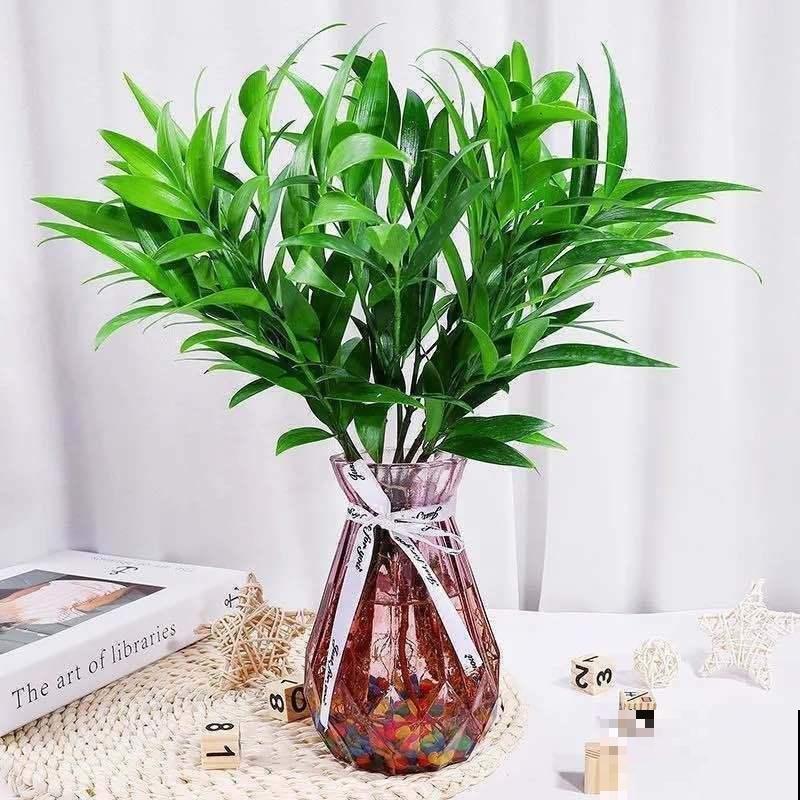 不用费心的绿植，办公室养这3种花，寓意又好又健康