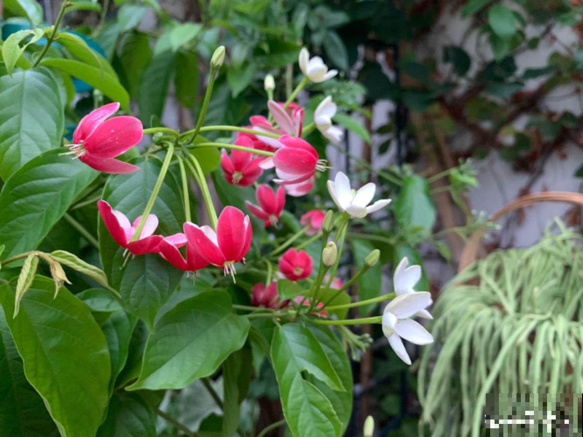 秋天又乏又燥,做好5件事,有效缓解乏和燥 秋天又乏又燥,做好5件事,有效缓解乏和燥