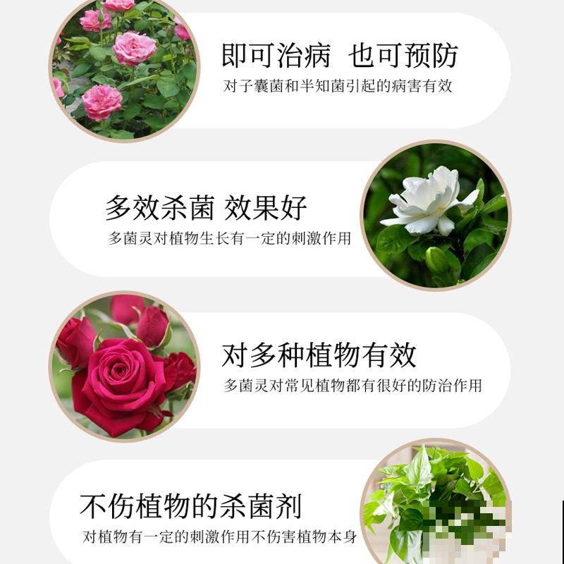 吃桃季，院子还没种桃树的看过来，纯天然无公害