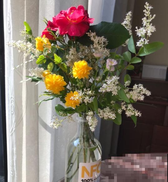 资深花友,还有什么是你没种过的?少见家养植物大曝光 资深花友,还有什么是你没种过的?少见家养植物大曝光