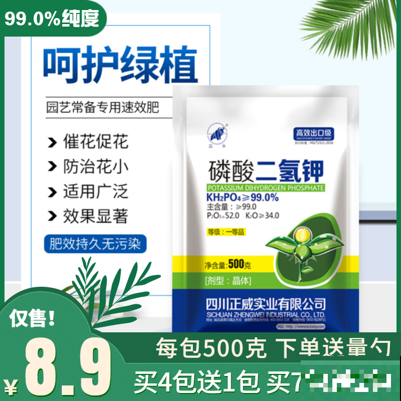 告别超市蓝莓，种一棵盆栽蓝莓，在家也能免费吃