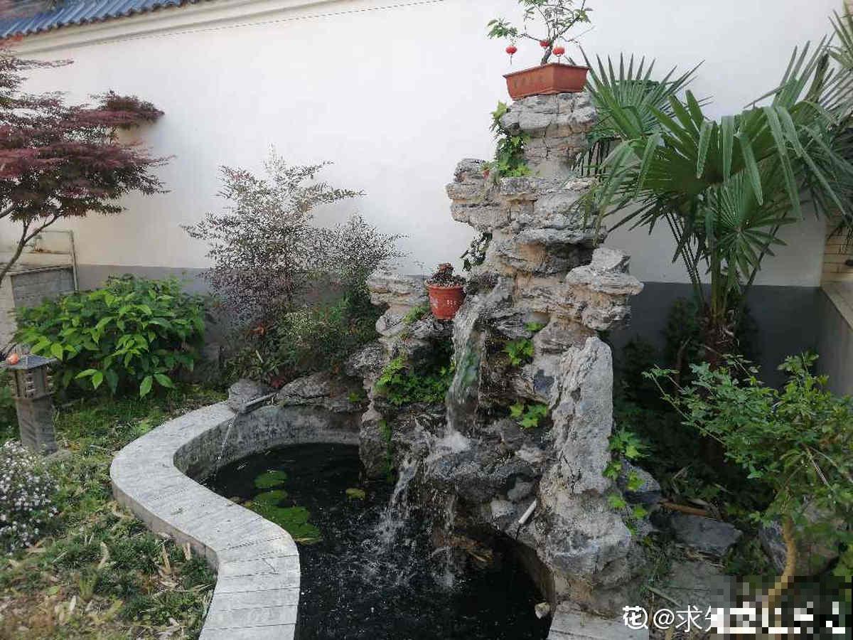 都说有院子好,真正打理起来,才知道有多烦 都说有院子好,真正打理起来,才知道有多烦