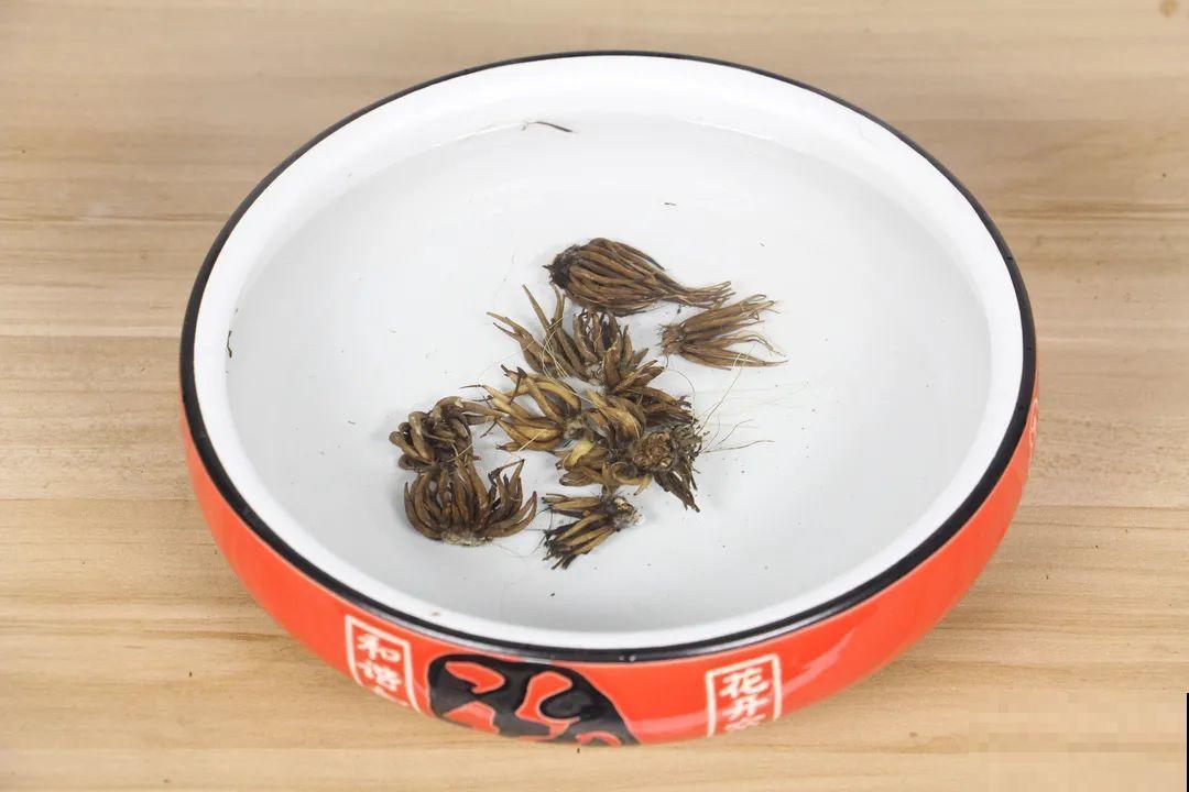 1种花名叫“花毛茛”,开花像是小蝴蝶,颜值超高 1种花名叫“花毛茛”,开花像是小蝴蝶,颜值超高