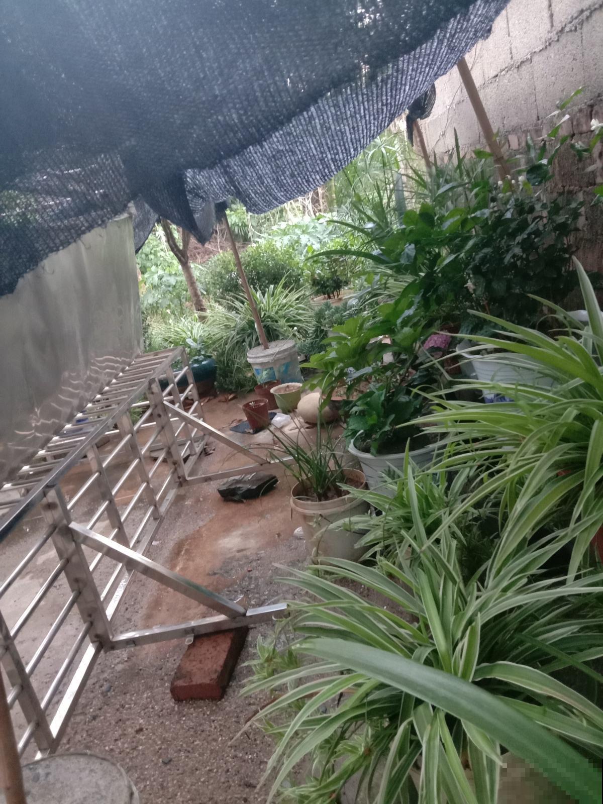 下周入伏,花卉进入渡劫期,这5条养护技巧需掌握 下周入伏,花卉进入渡劫期,这5条养护技巧需掌握