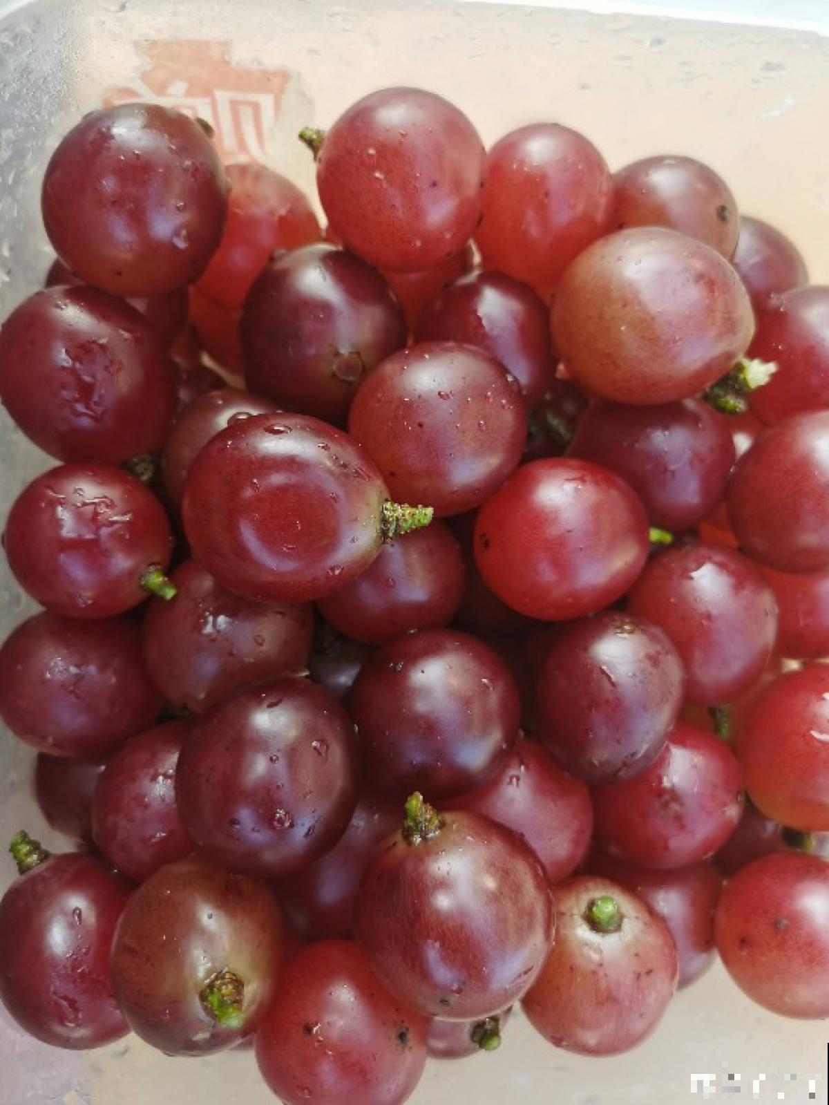 2种方法自制葡萄干，吃起来放心，成就感满满