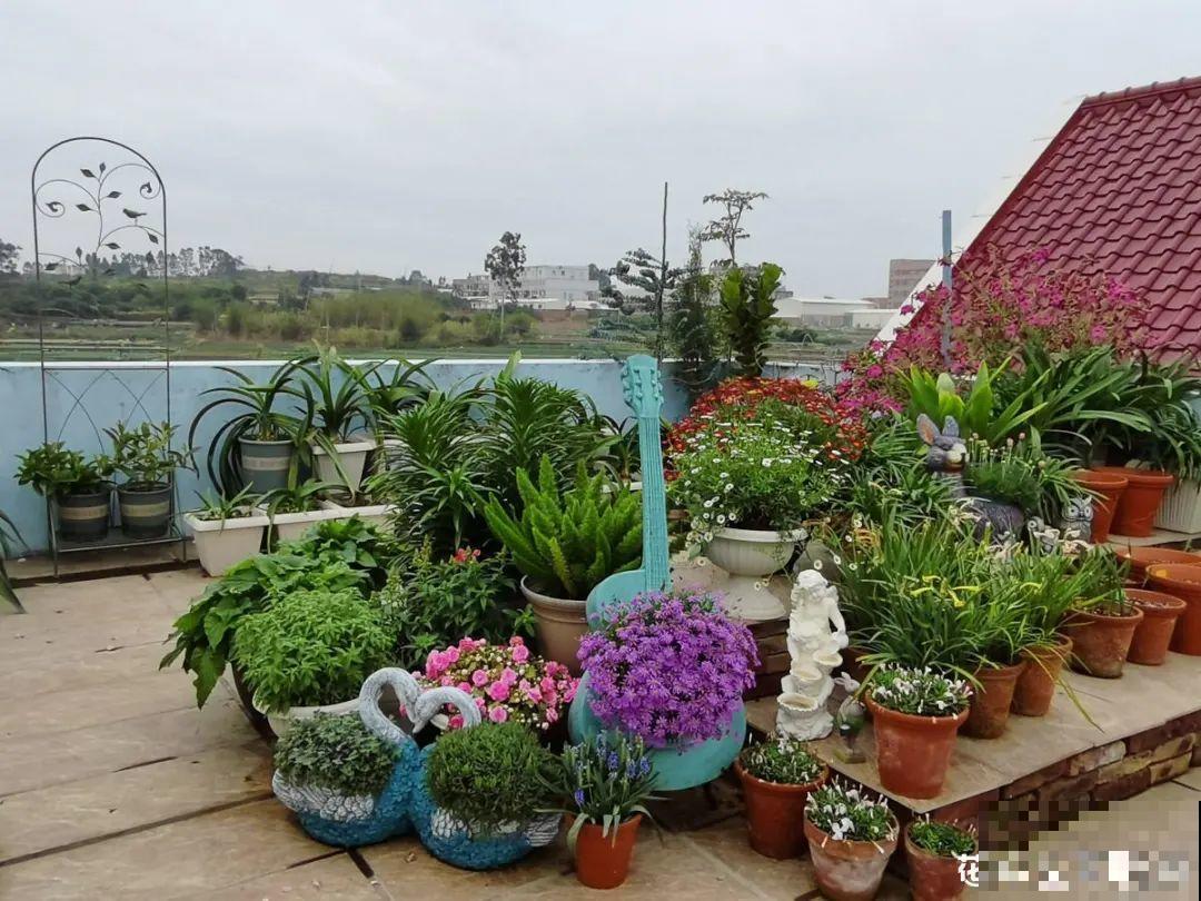 天台花园VS低层庭院,哪里养花更方便? 天台花园VS低层庭院,哪里养花更方便?