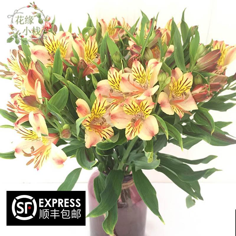 遇到这4种花，请主动远离，闻久了有麻烦