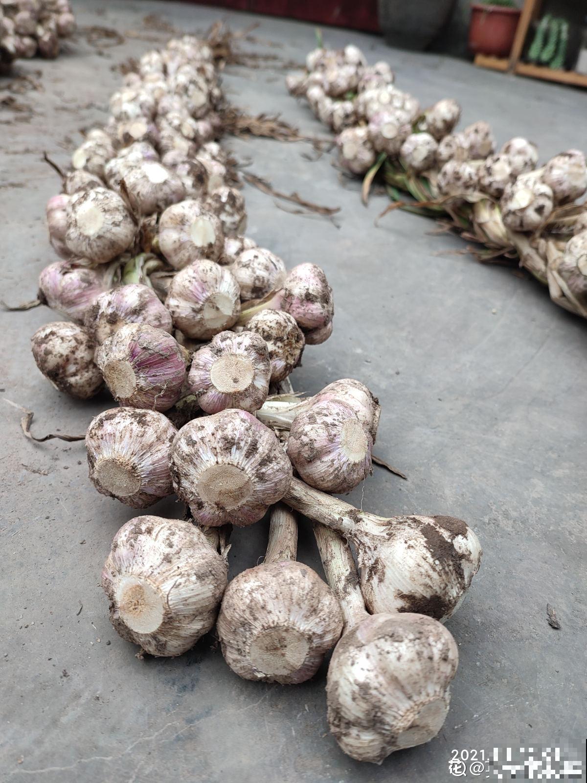 大蒜的7个妙用，一蒜在手，居家不愁