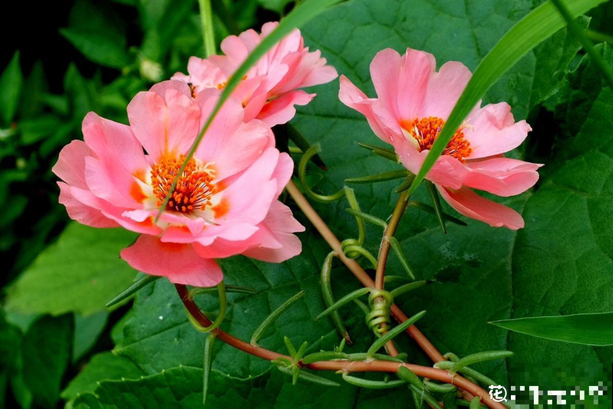 10个人生道理，年过半百的人更能理解，你赞同吗