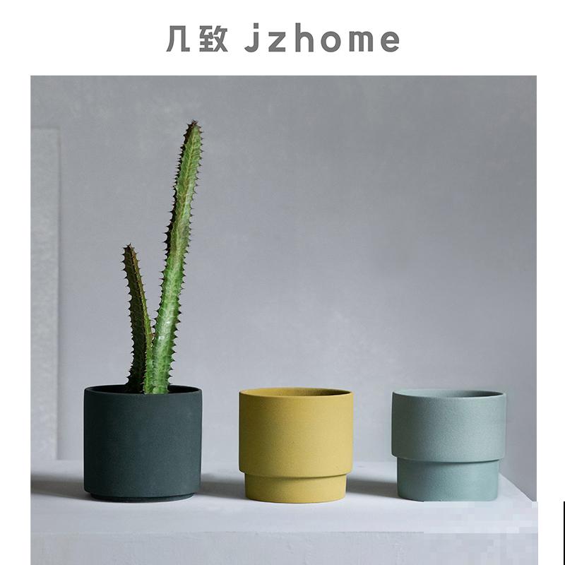 人气超高的景天科多肉,选得好也要养得好,网友:太美了! 人气超高的景天科多肉,选得好也要养得好,网友:太美了!