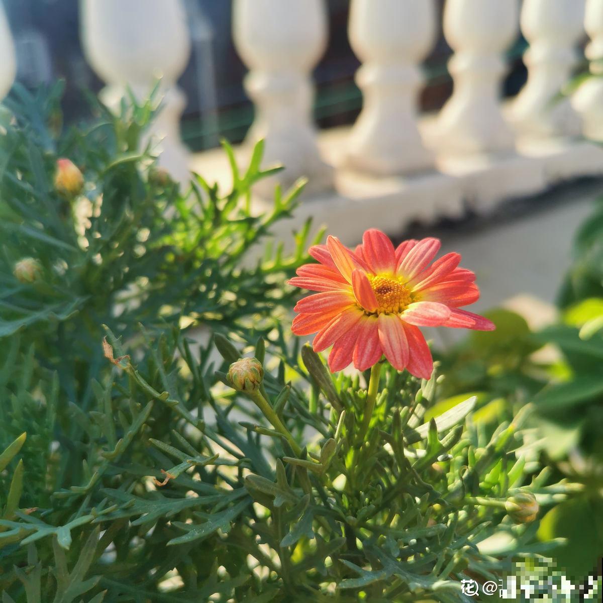 秋天又乏又燥,做好5件事,有效缓解乏和燥 秋天又乏又燥,做好5件事,有效缓解乏和燥