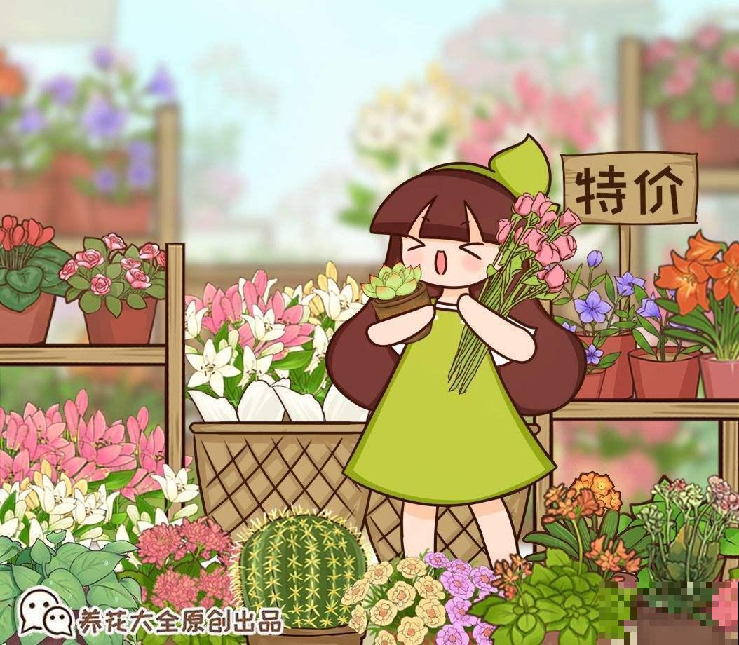 秋天逛花市，看到5种花放心购买，秋天正是开花好时机