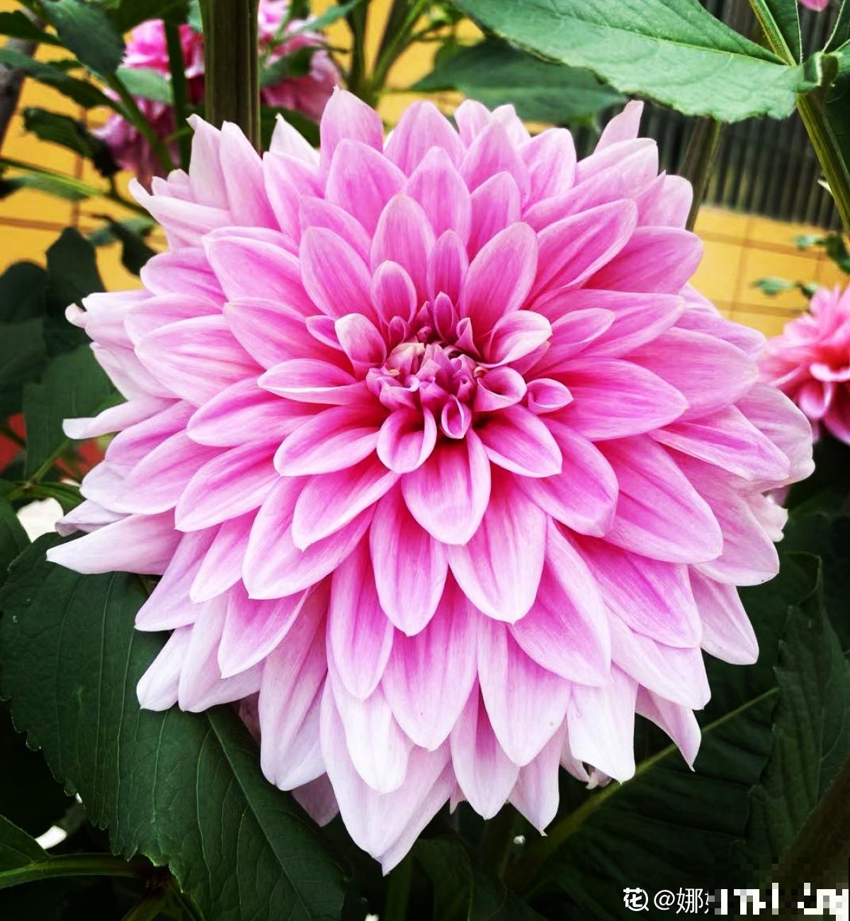 人的年纪越大，4件事情更要想开，生活才会更加如意