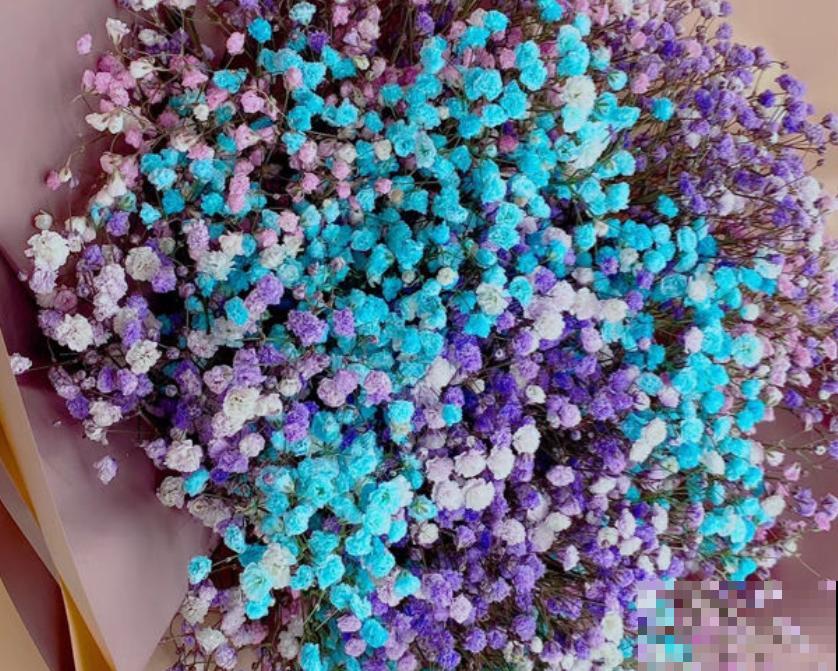 天热懒人养花必备的3种花，非常好打理，花点心思就能活