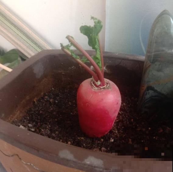 入秋后太燥，记住秋季饮食禁忌，越吃越健康