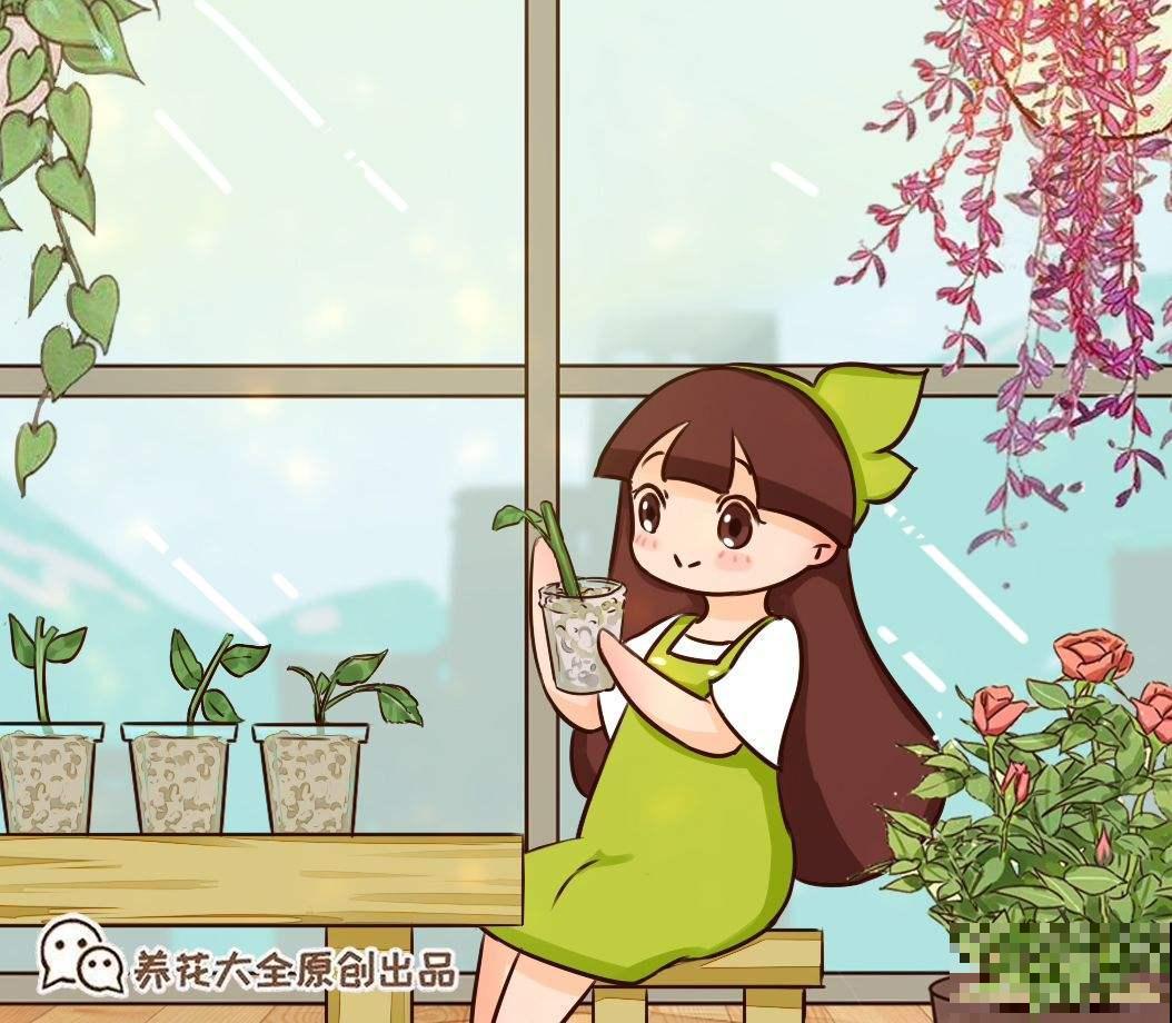 果树也能扦插，2种果树扦插方法，让你躺着摘果子