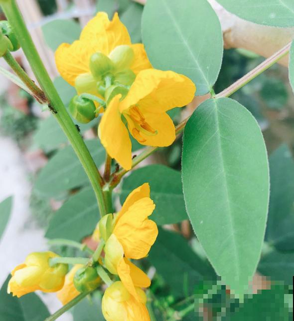 人的年纪越大，4件事情更要想开，生活才会更加如意