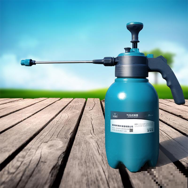 别只知道养绿萝，每个家里适合养什么，我来告诉你