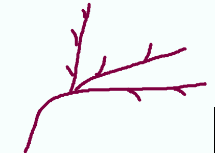 立秋后，7种花要扦插，满盆开花结果子