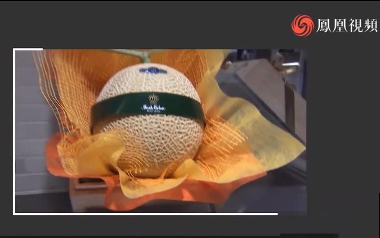 15万块钱的一个蜜瓜，到底有多好吃？