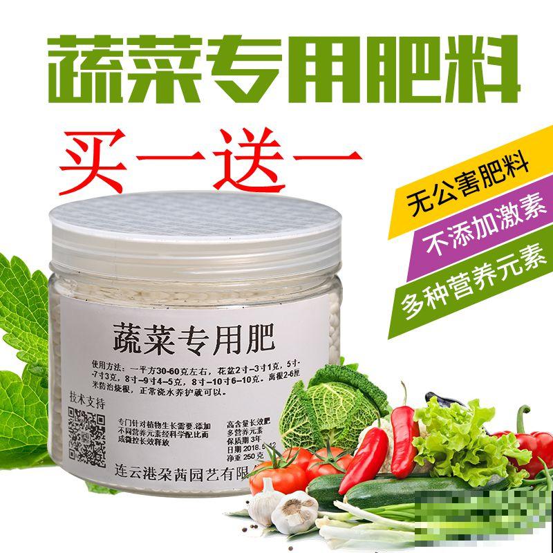 一棵葡萄树，做成天然遮阴棚，养殖省力又好打理