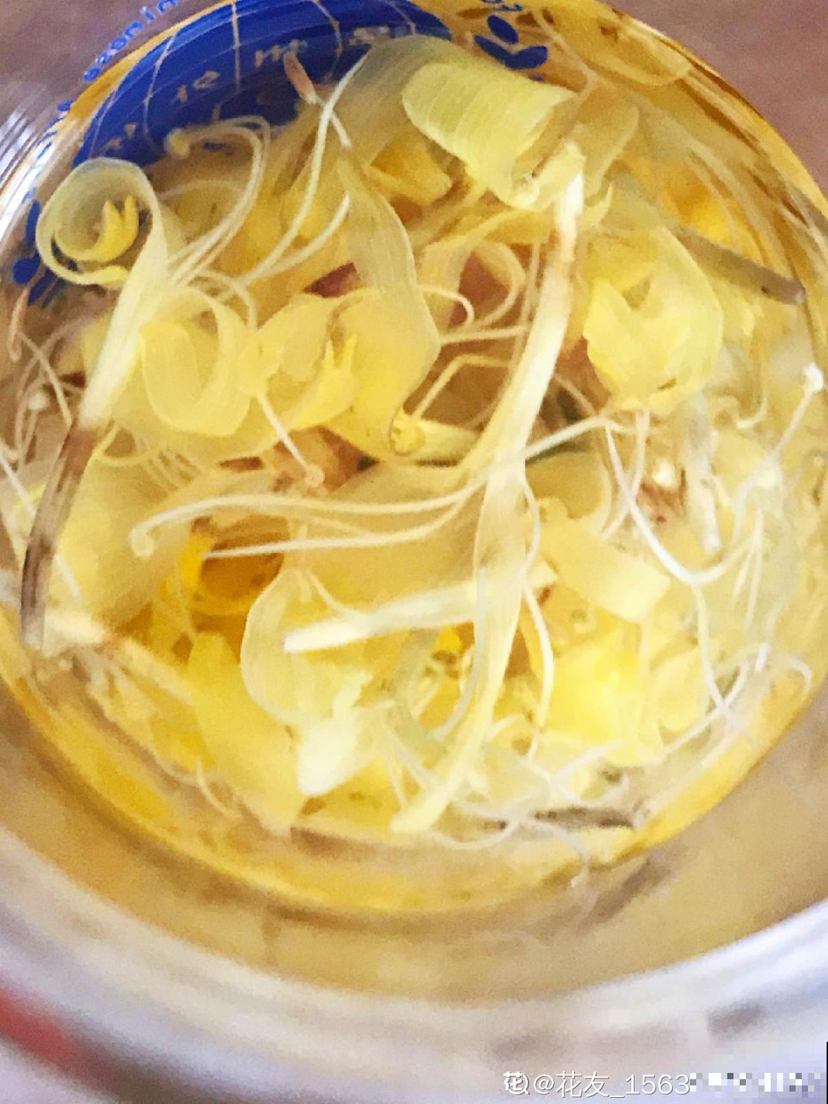 老中医爱养的4种花，堪称植物“百宝箱”，养人养身心