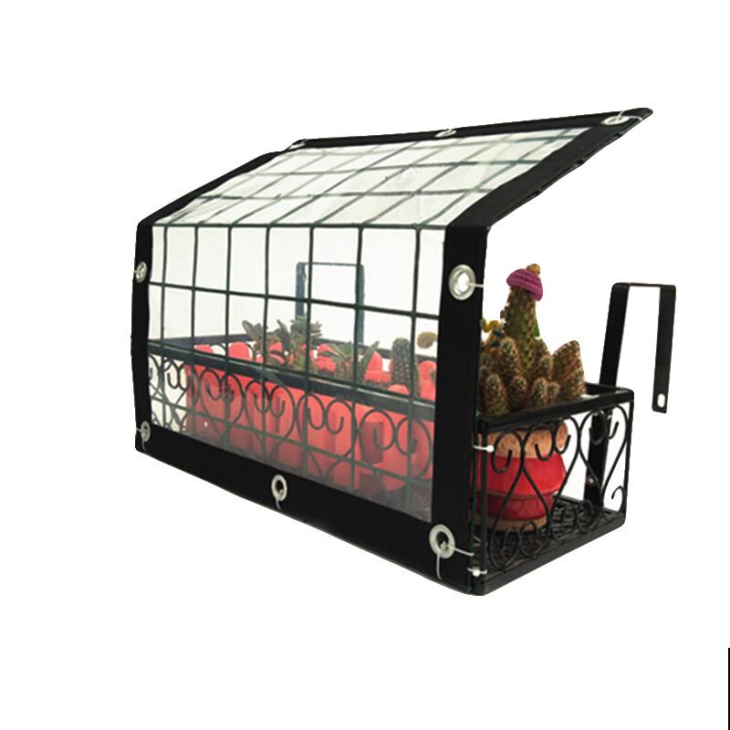 夏日太热，怕植物旱死？记住这4个妙招